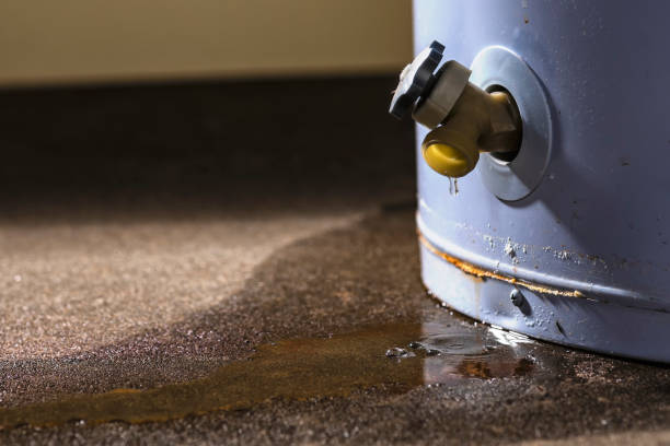  Athens, WV Water damage restoration Pros