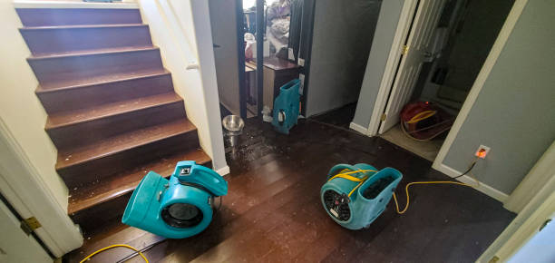 Best 24/7 water damage repair  in Athens, WV