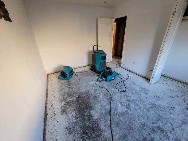 Best Sewage cleanup and water damage restoration  in Athens, WV