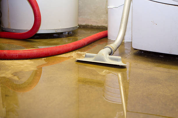 Best Ceiling water damage repair  in Athens, WV
