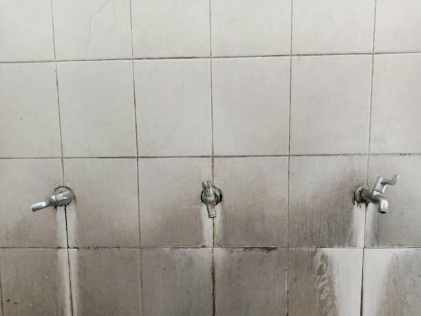Best Water damage restoration near me  in Athens, WV