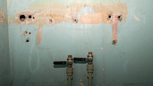 Best Ceiling water damage repair  in Athens, WV
