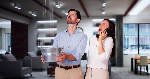 Best Water damage restoration near me  in Athens, WV